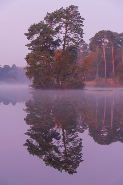 Reflejo al amanecer