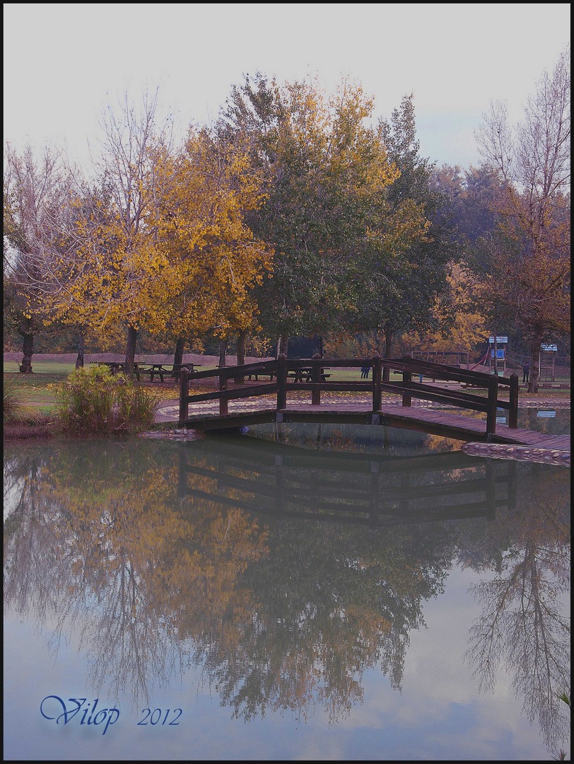 REFLEJO DE COLORES