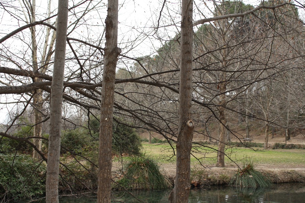 Reflejo de invierno