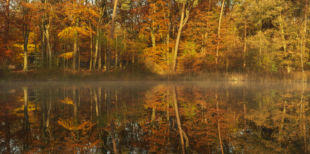 Reflejo de otoño