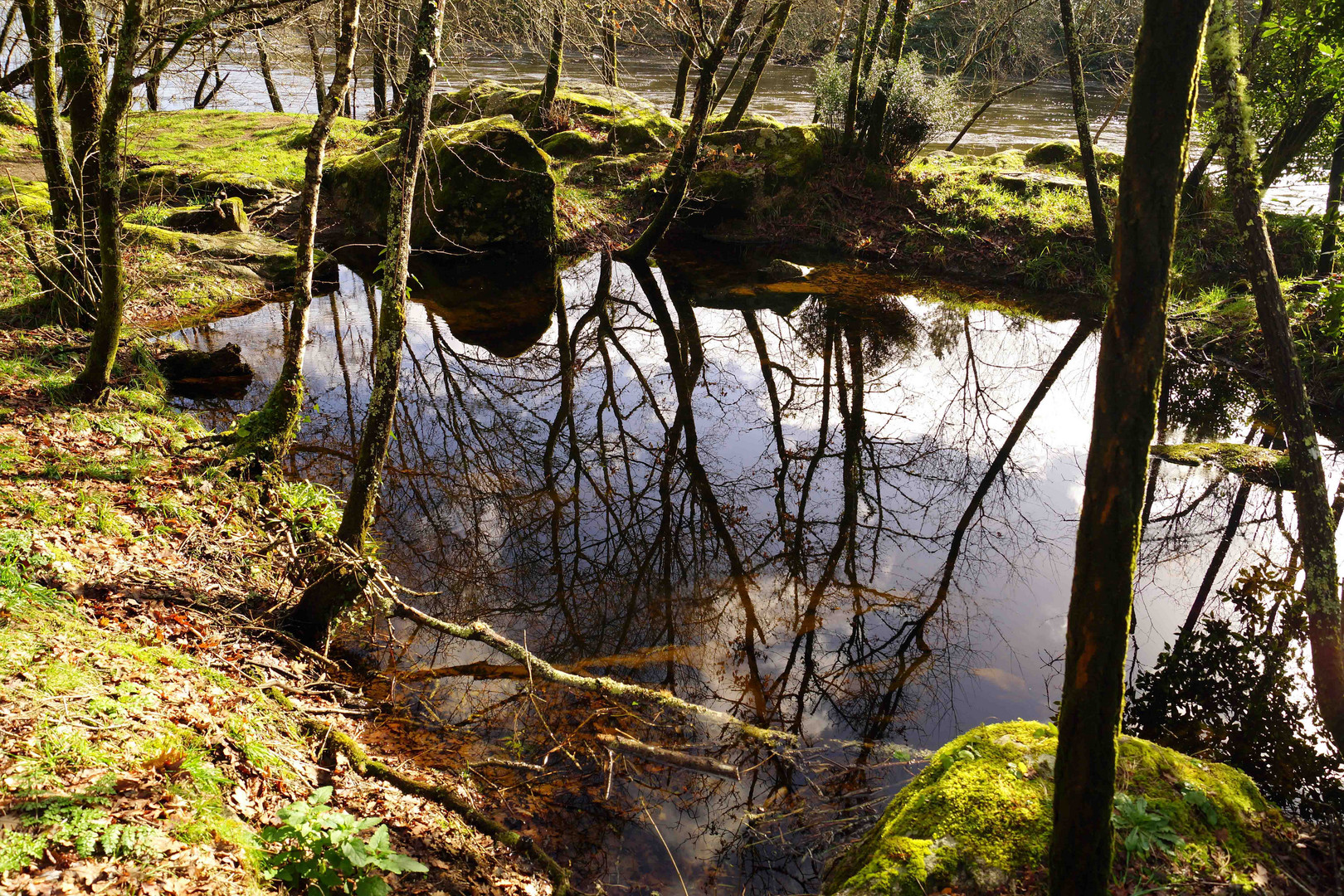 Reflejo