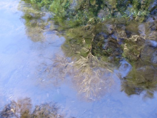 reflejo en el agua