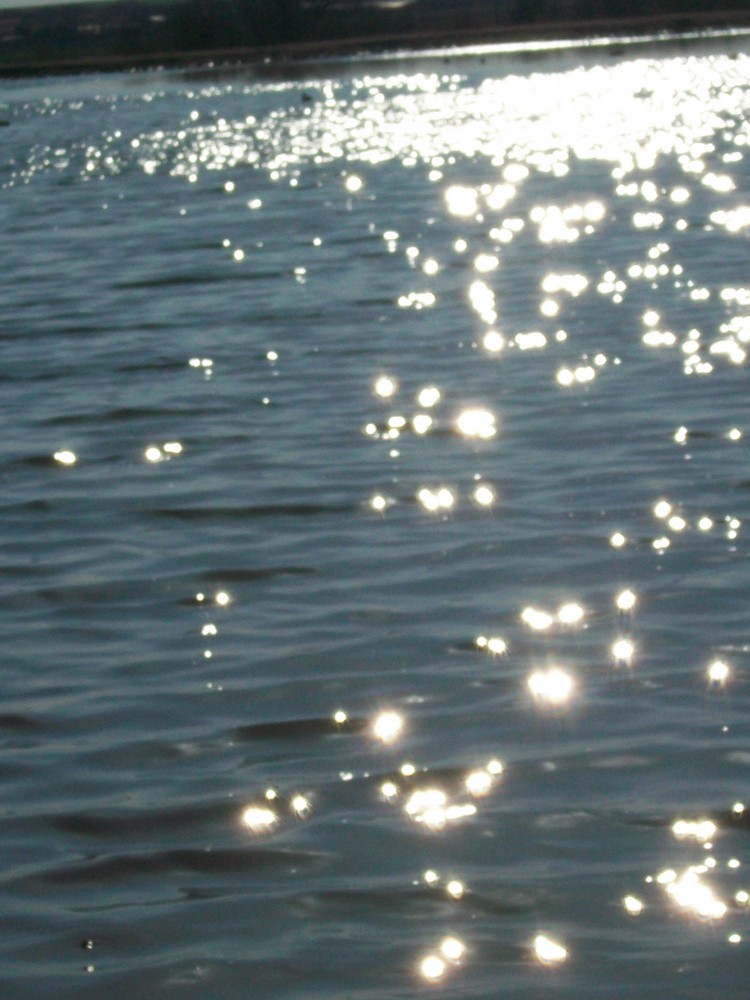 Reflejo en el agua (Villafáfila)