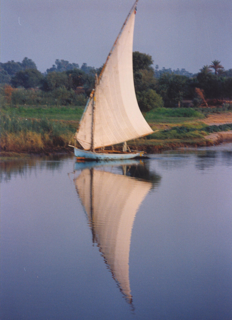 Reflejo en el Nilo