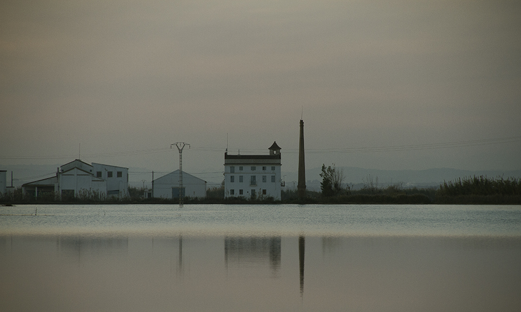 Reflejo en la Albufera de Valencia