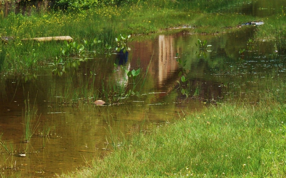 Reflejo en la Charca.