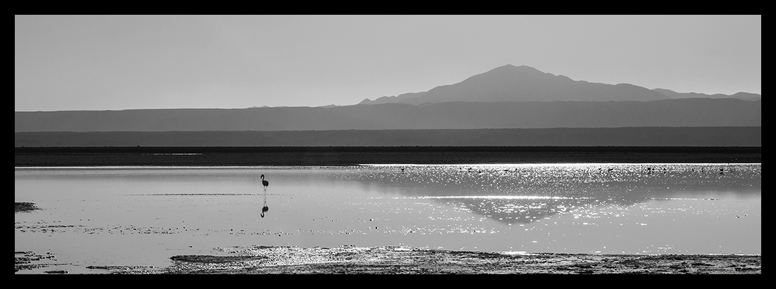 Reflejo en la laguna