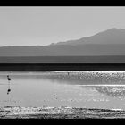 Reflejo en la laguna