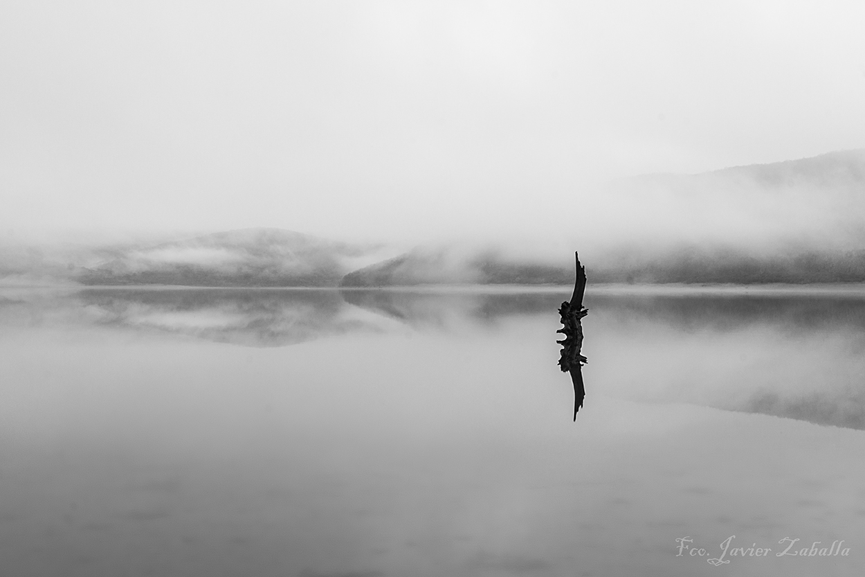 Reflejo en la niebla