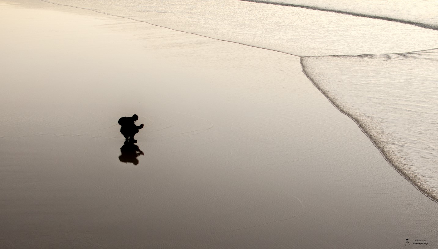 reflejo en la orilla