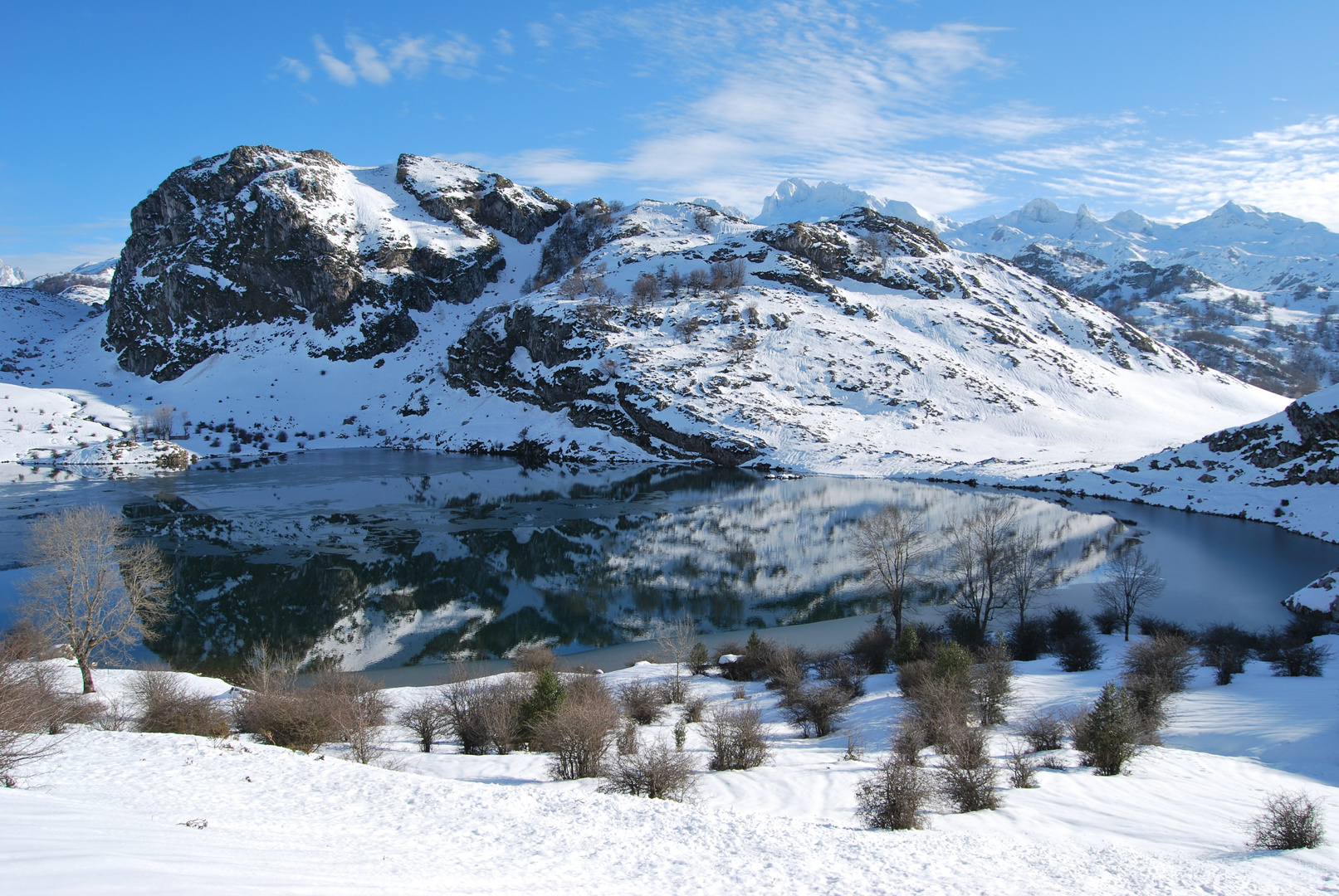 Reflejo invernal