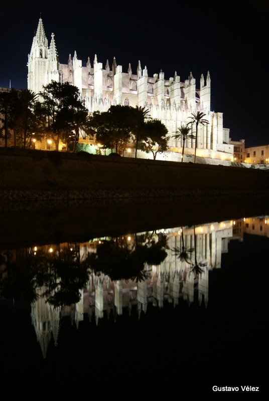 Reflejo Nocturno Catedral de Palma