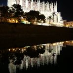 Reflejo Nocturno Catedral de Palma