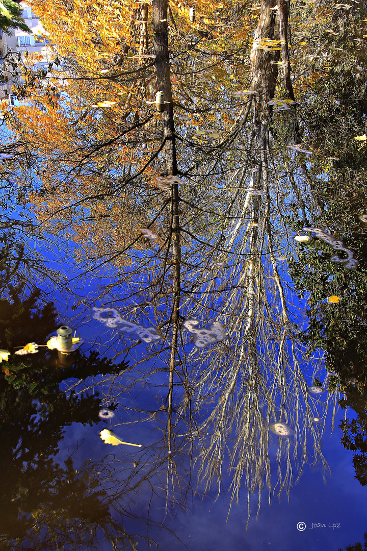 Reflejo otoñal