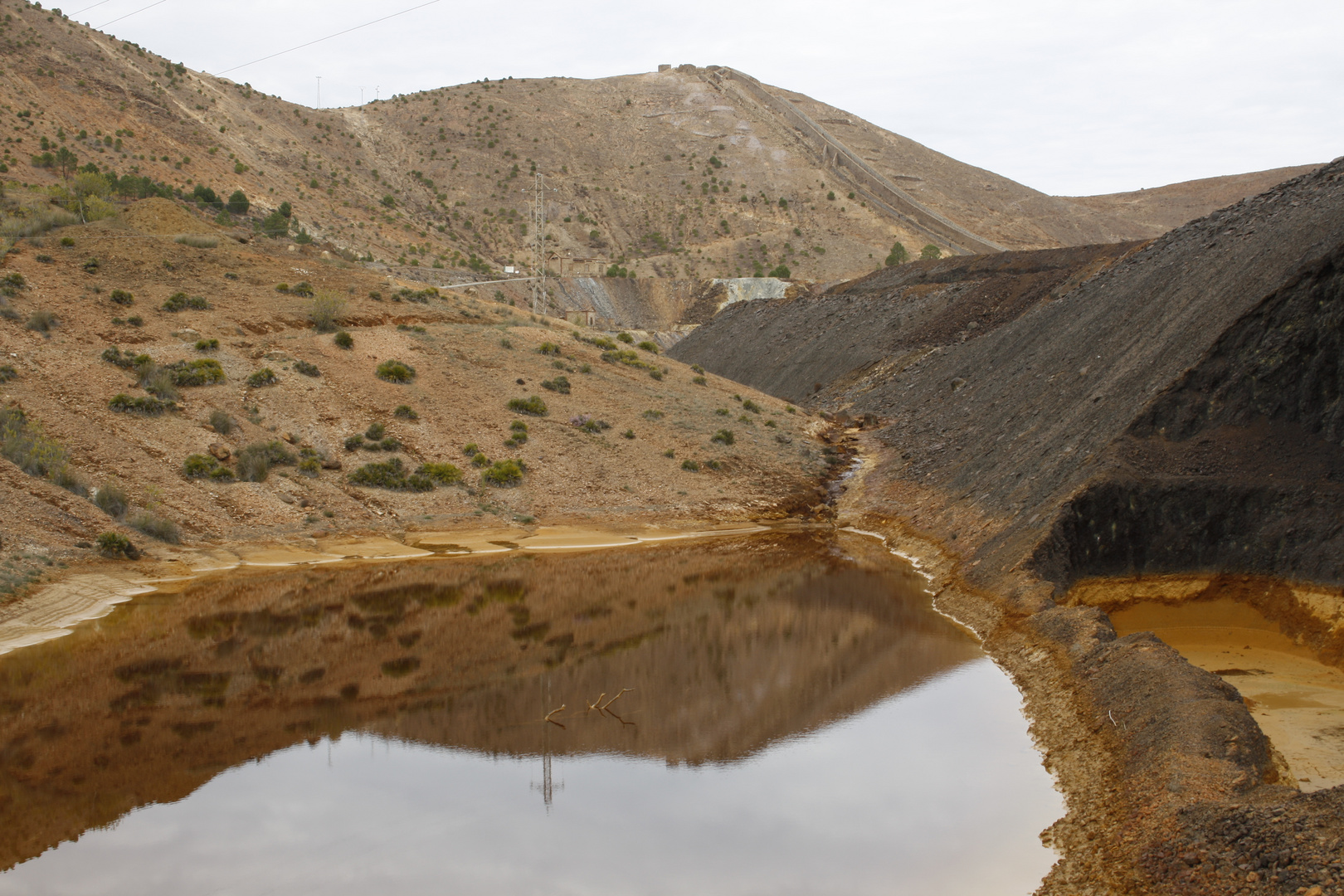 Reflejo sobre aguas amarillas