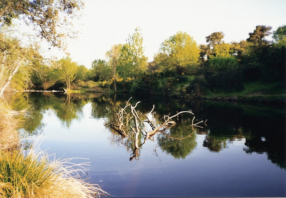 Reflejos