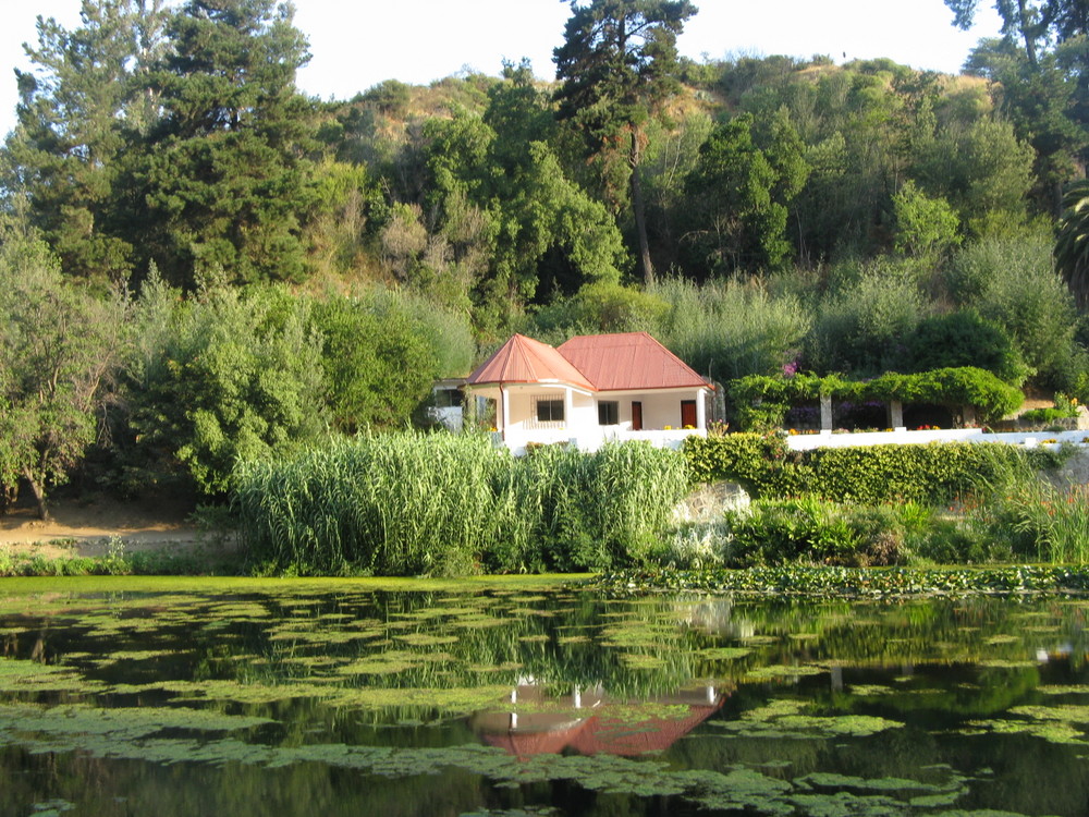 Reflejos