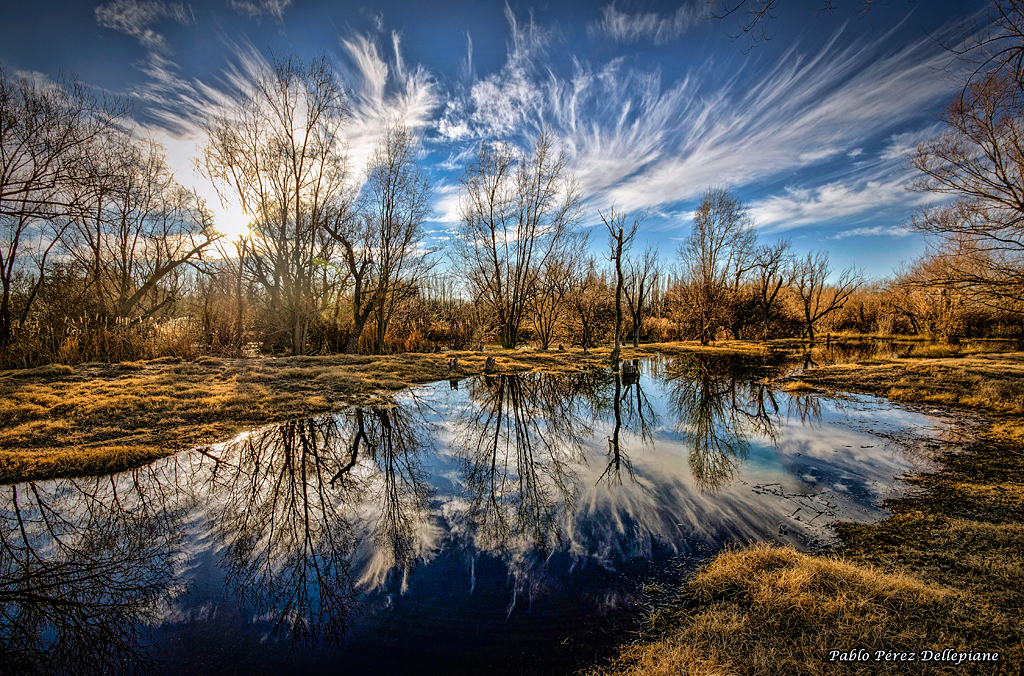 Reflejos