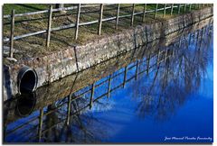 Reflejos 1