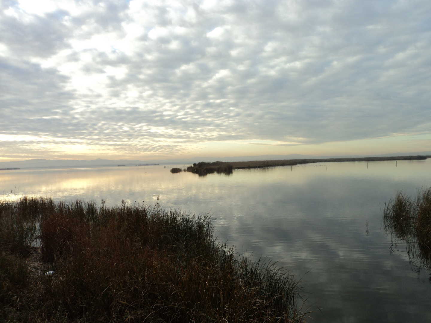 Reflejos