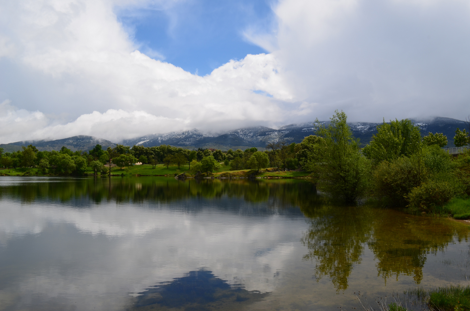 reflejos