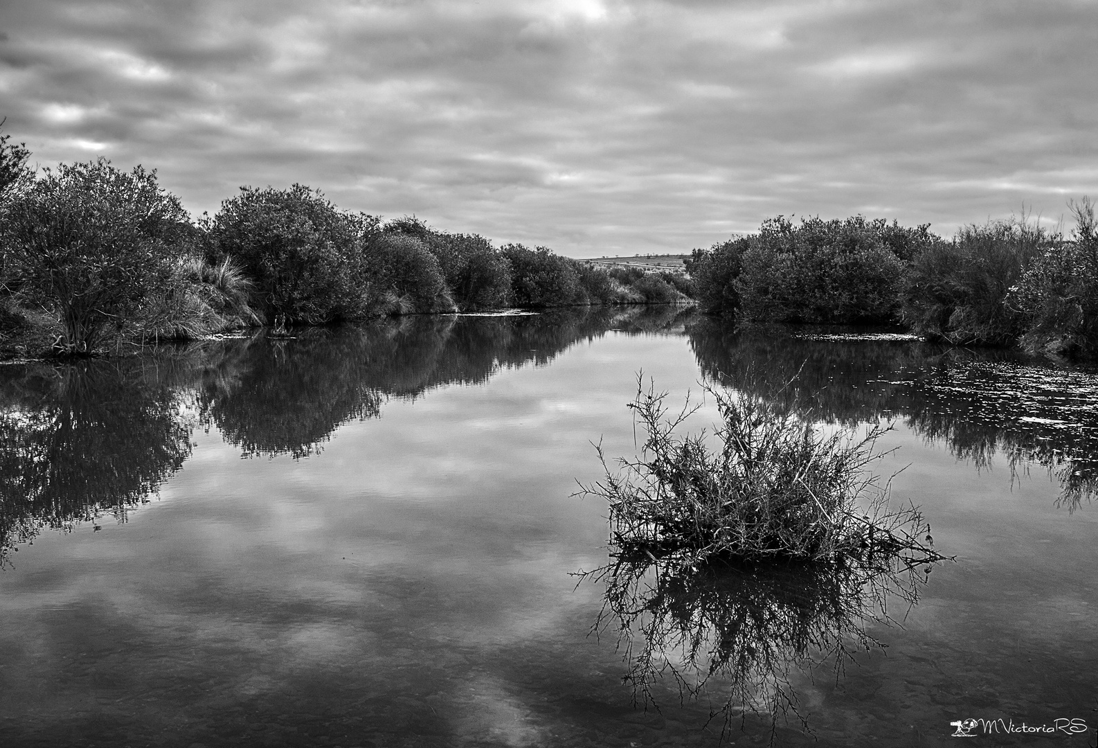 reflejos