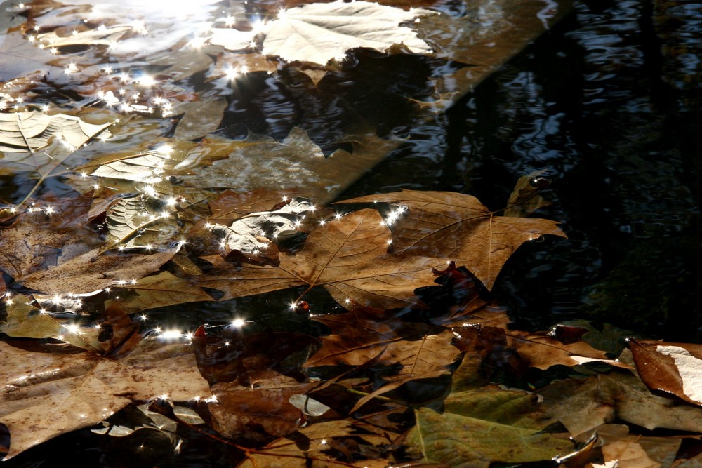 reflejos