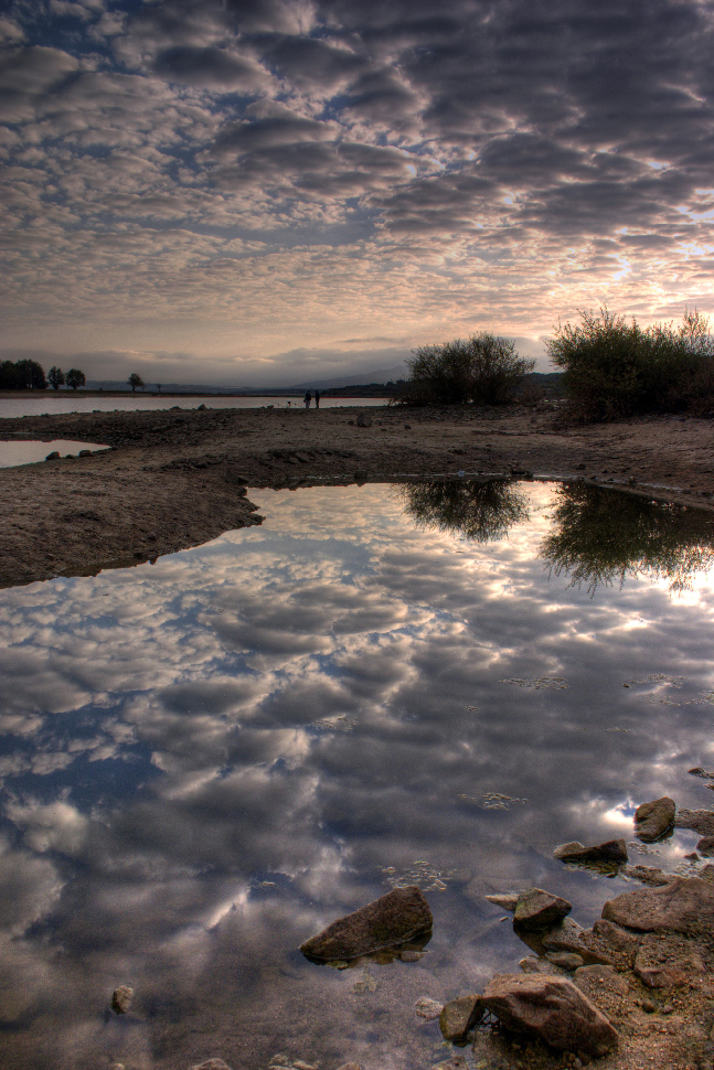 Reflejos