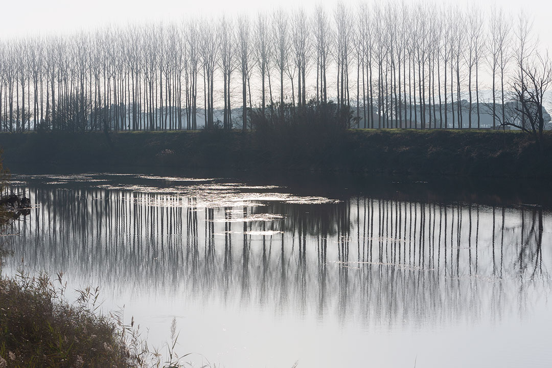 REFLEJOS