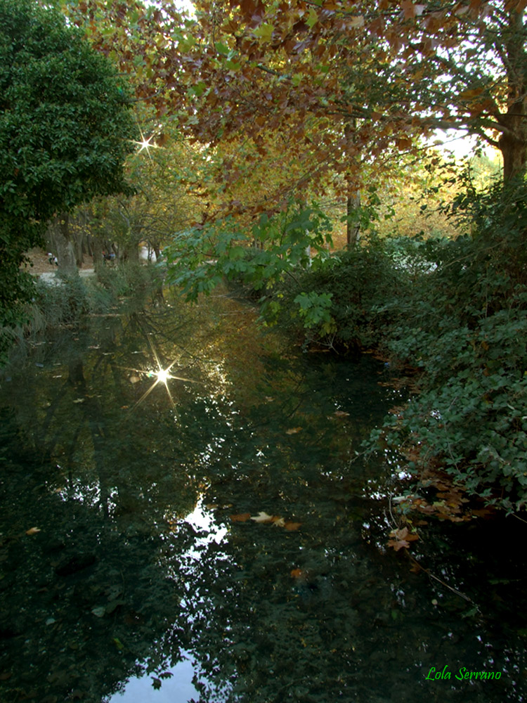 reflejos