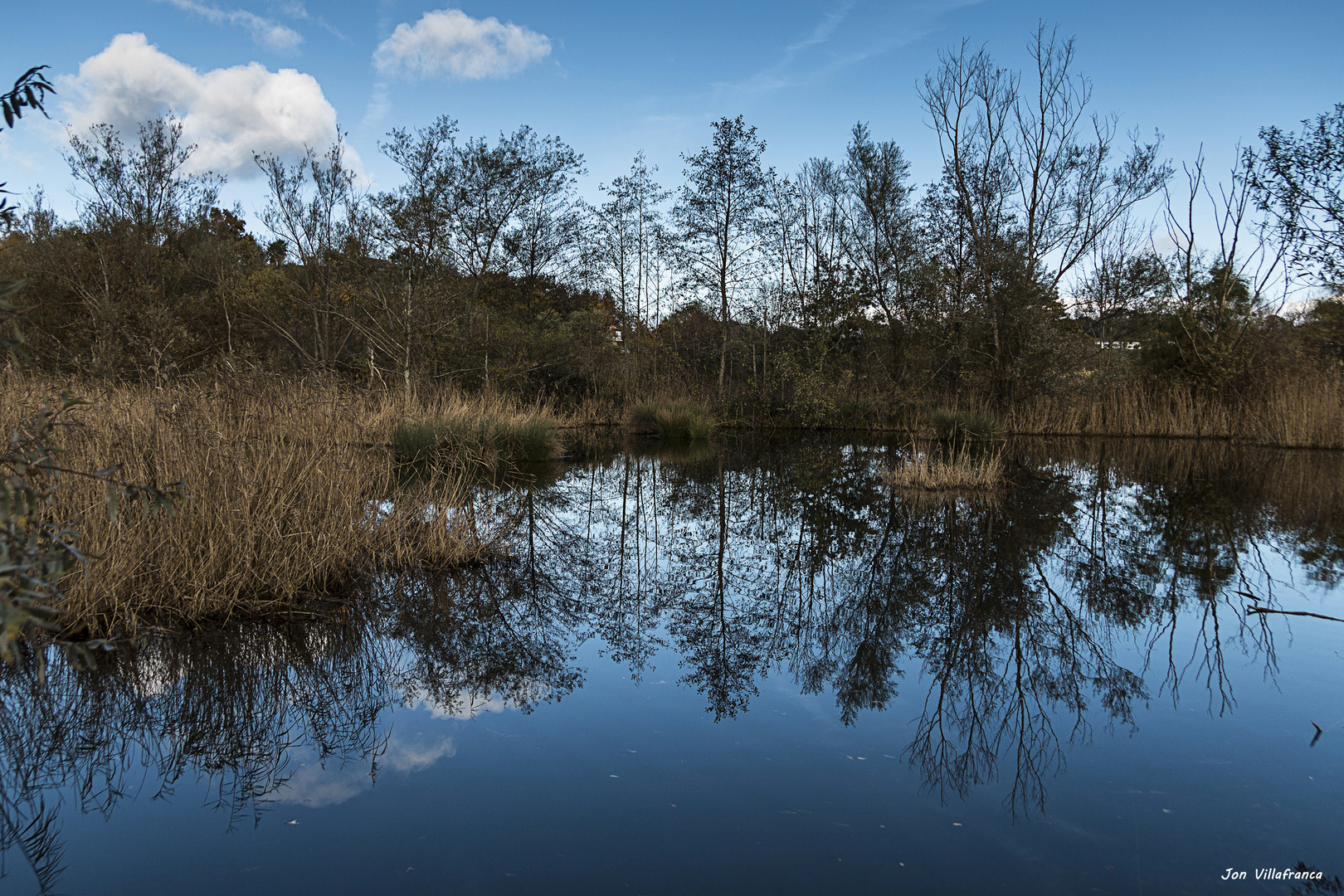 Reflejos