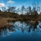 Reflejos