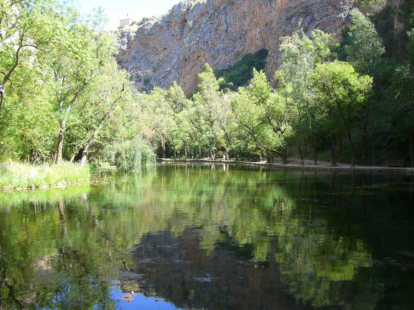 REFLEJOS