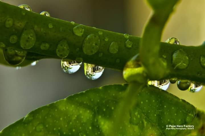 Reflejos.