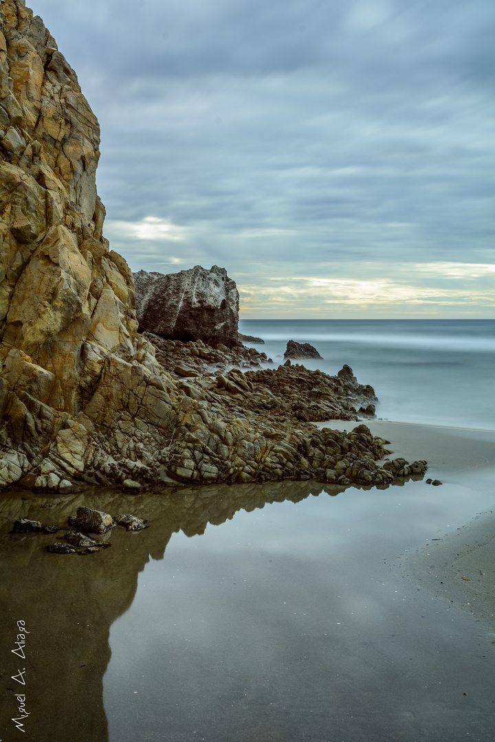 Reflejos