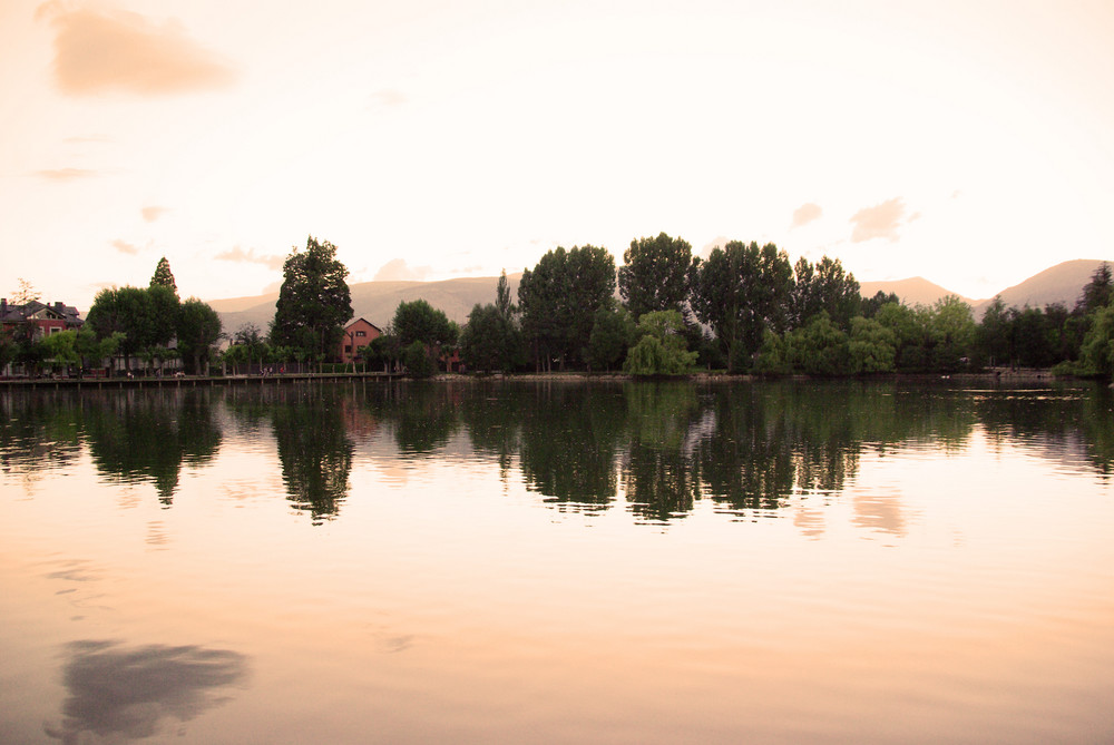 Reflejos