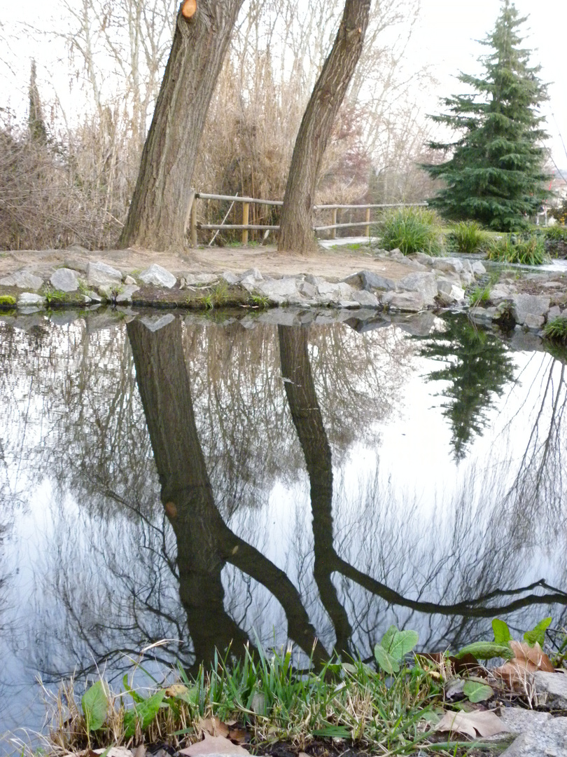 reflejos