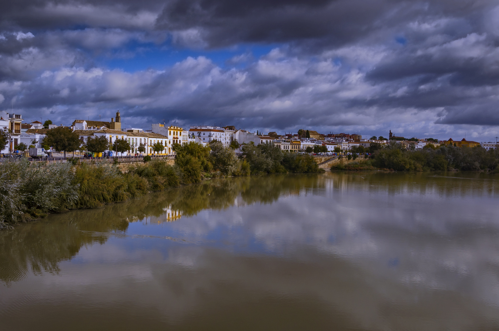 REFLEJOS