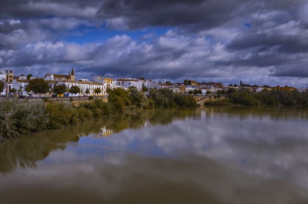 REFLEJOS