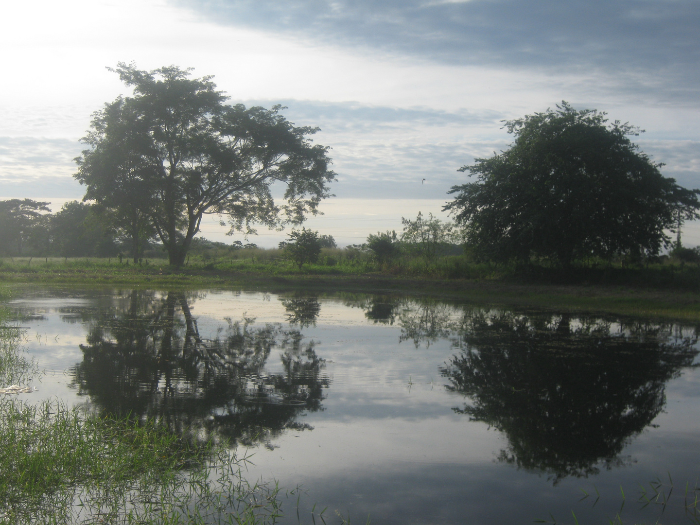 Reflejos