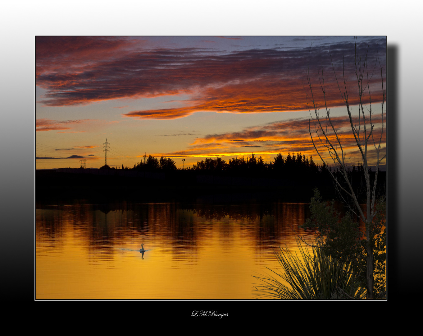 Reflejos al atardecer...