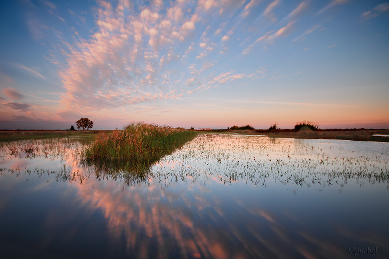 Reflejos al atardecer.