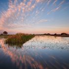 Reflejos al atardecer.