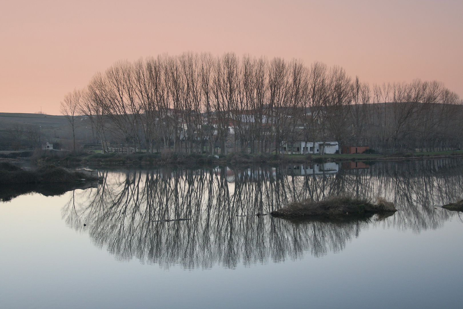 Reflejos