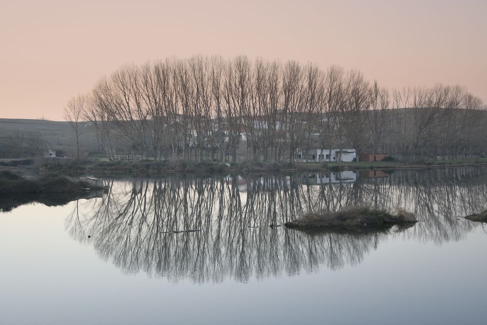 Reflejos