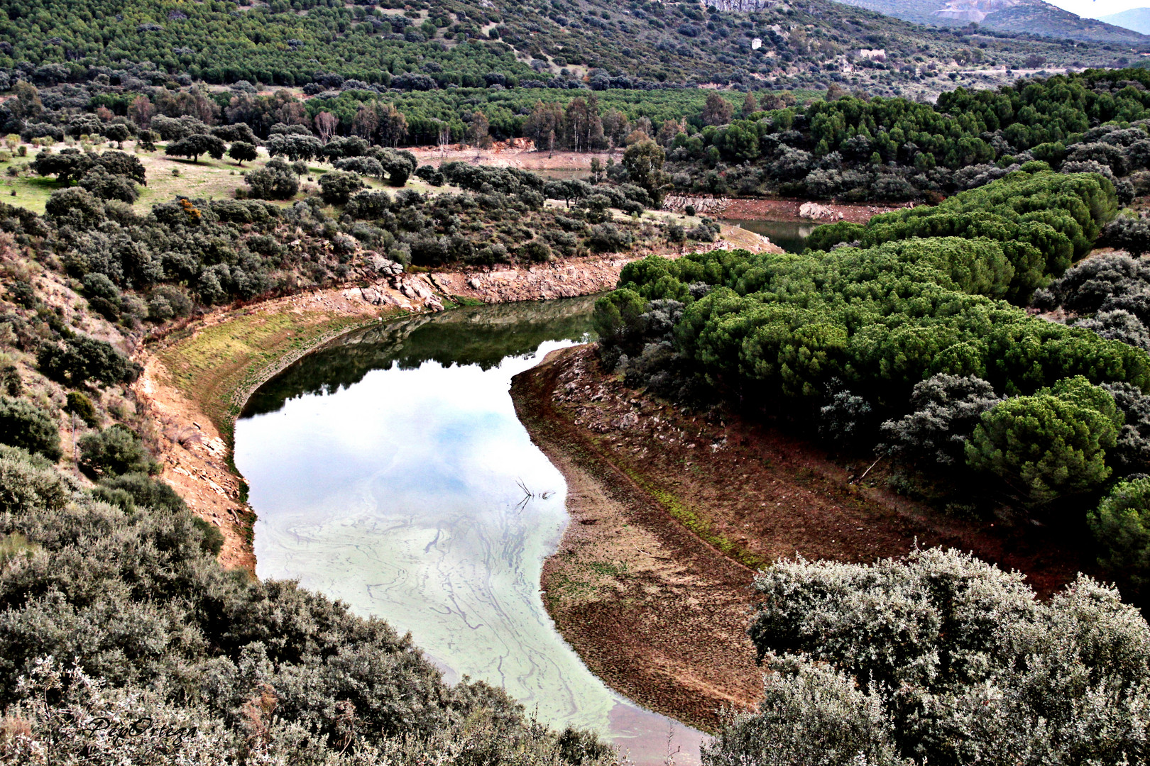 Reflejos