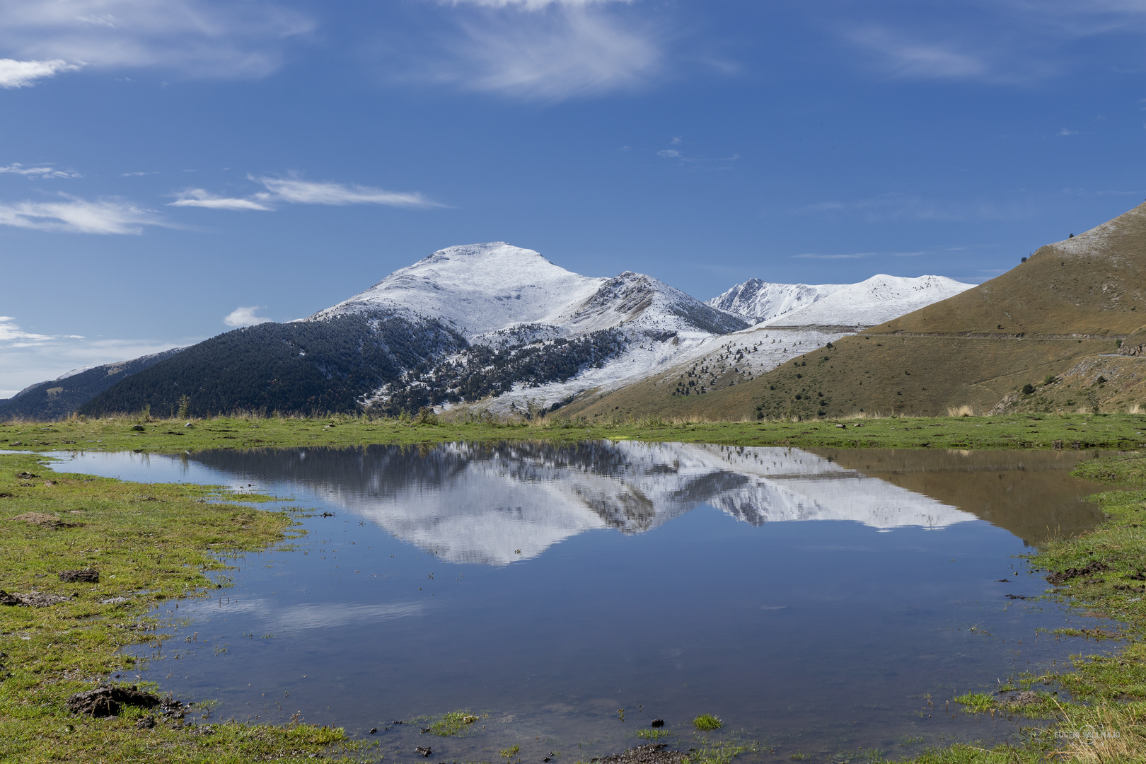 Reflejos