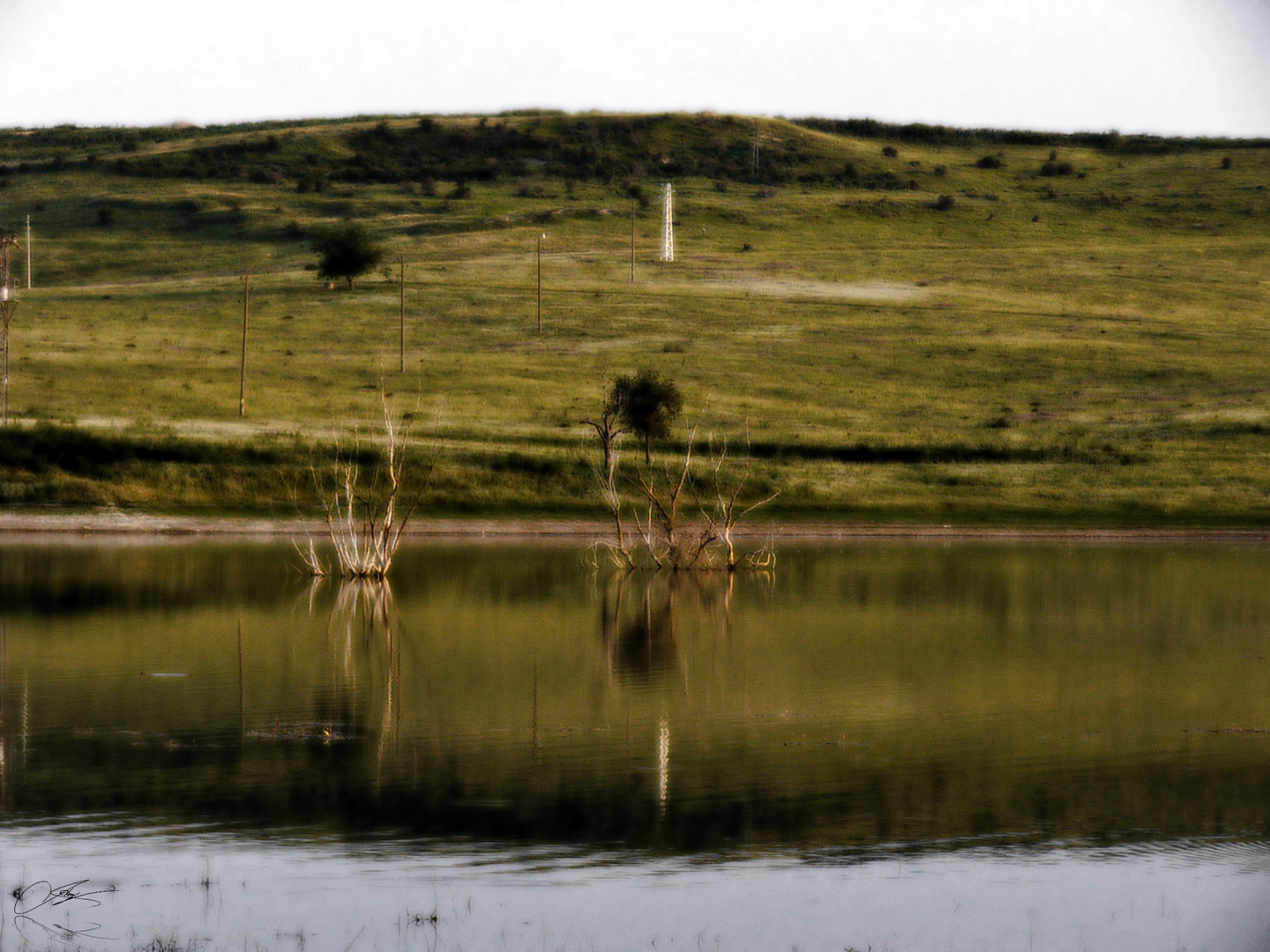 Reflejos