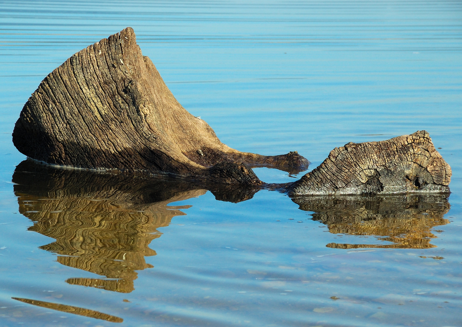 Reflejos