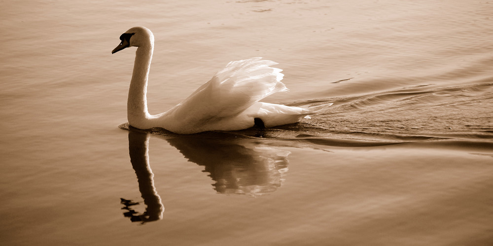 Reflejos de belleza